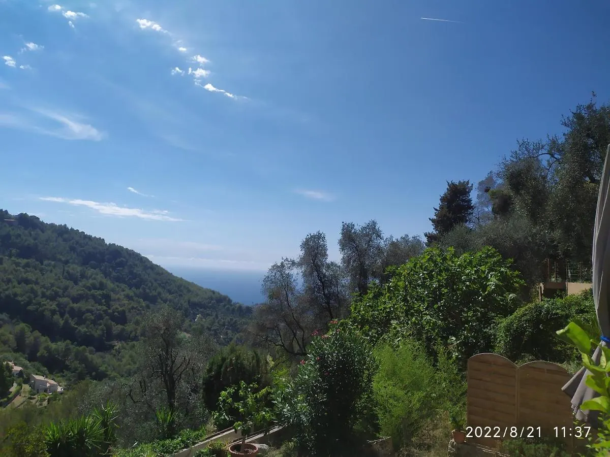 Appartement 2 Pieces - Le Berceau Castellar Daire