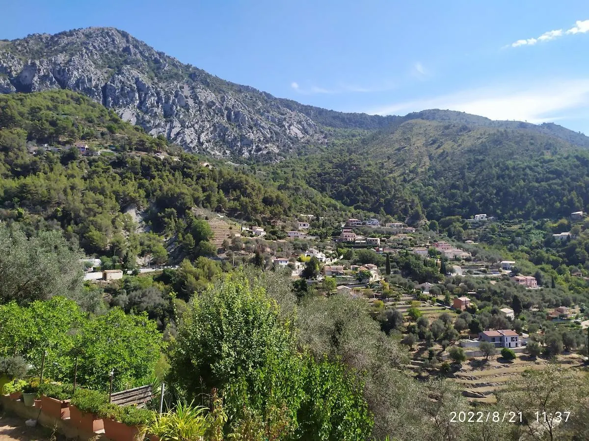 Daire Appartement 2 Pieces - Le Berceau Castellar